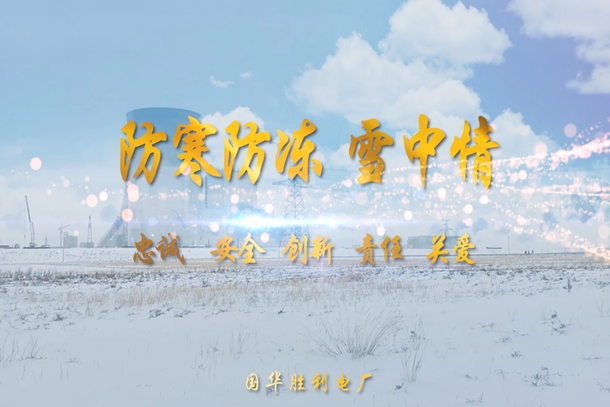 國(guó)華電力勝利電廠(chǎng)：防寒防凍雪中情