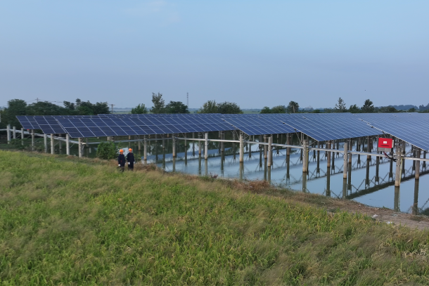 集團格式-圖為龍源電力安徽公司汊澗新能源匯流站項目現(xiàn)場_副本